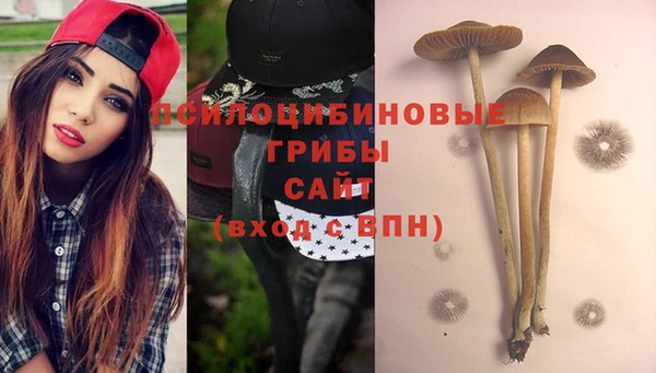ALPHA PVP Гусев