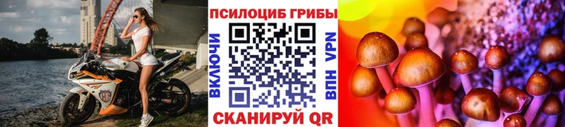 Купить где  Уфа  Псилоцибиновые грибы мицелий 
